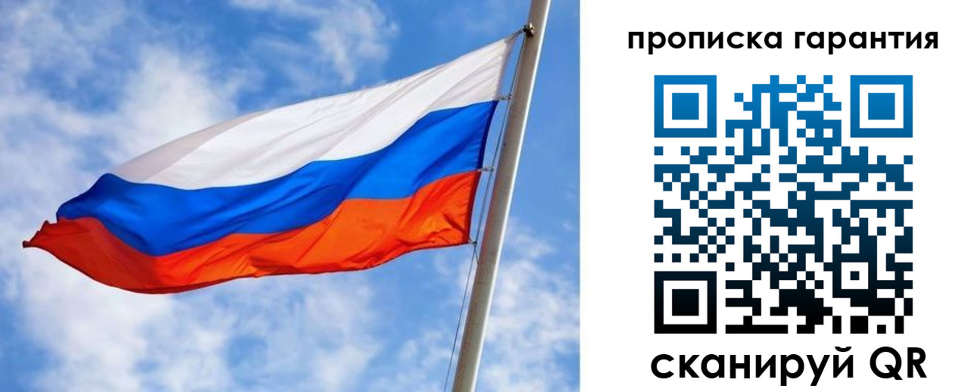 прописка гарантия в Ельне